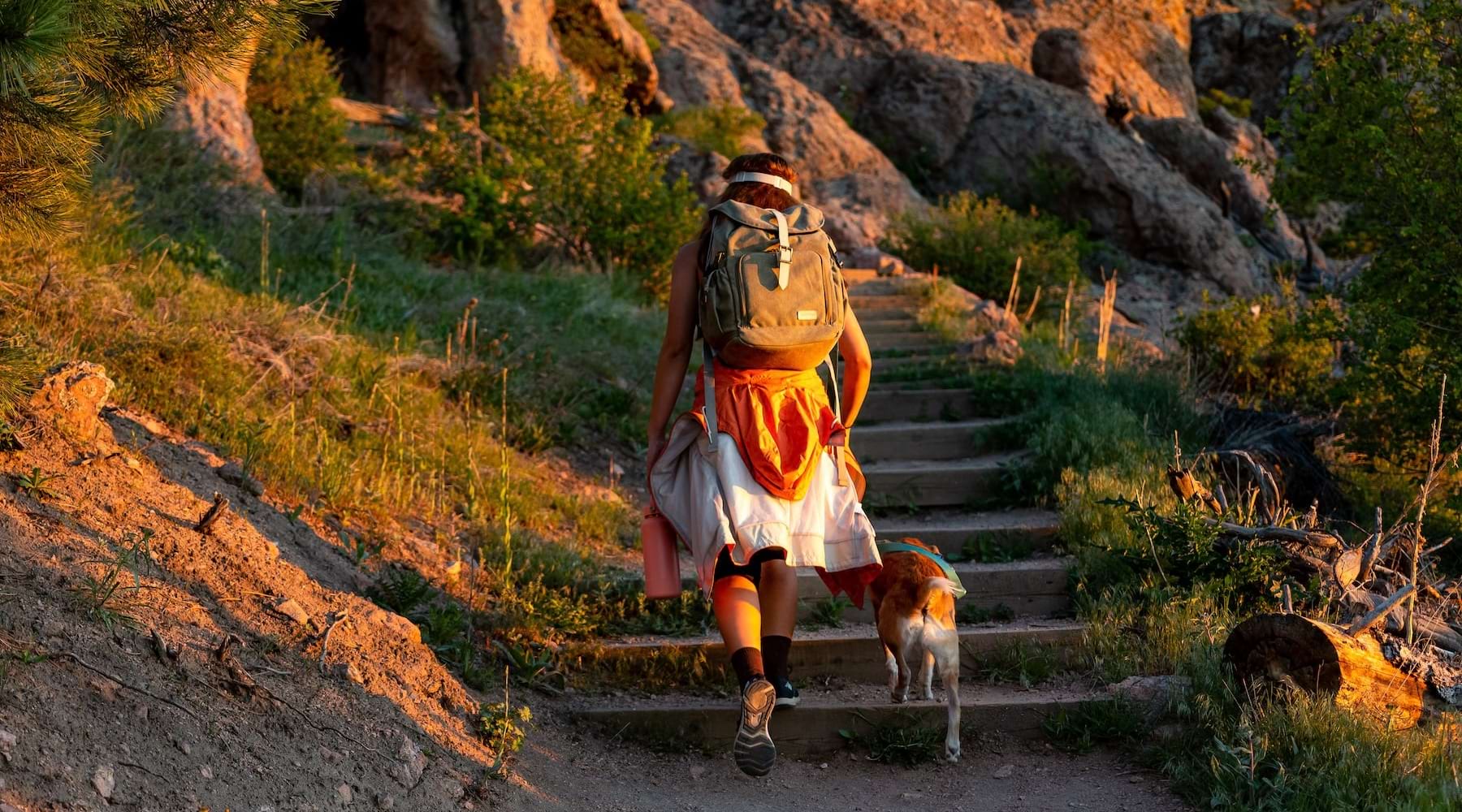 a person hiking with a dog